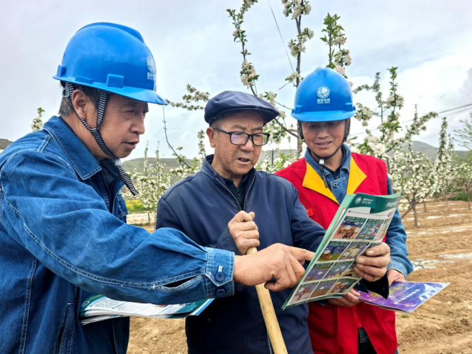国网礼县供电公司：苹果花开油菜香 电力护航春耕忙