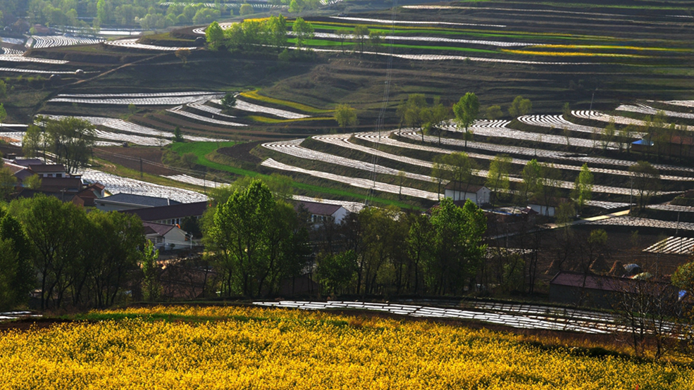春动陇原丨华亭：汭河柳线牵桃影 山乡田园织锦绣