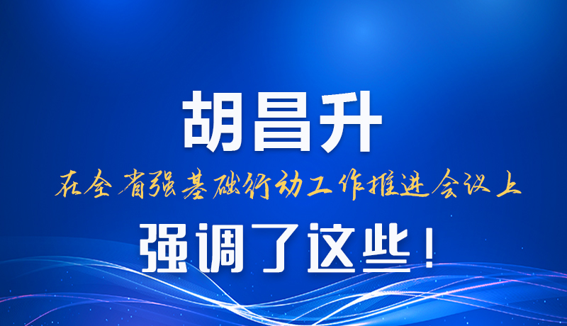 图解|胡昌升在全省强基础行动工作推进会议上强调了这些！