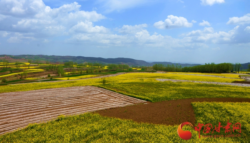 春动陇原丨华亭：汭河柳线牵桃影 山乡田园织锦绣