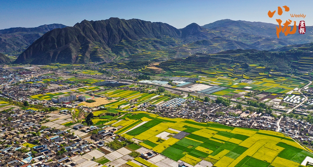【小陇画报·494期】武山：花海与梯田共谱的田园交响