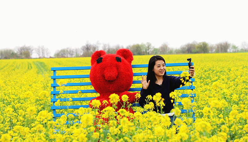 宁县：“五一”假期花海文旅市场人气旺