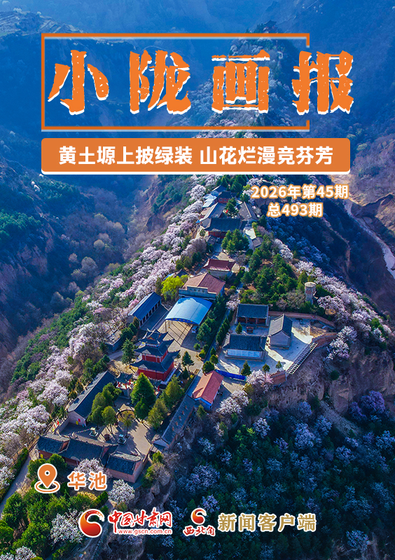 【小陇画报·493期】华池：黄土塬上披绿装 山花烂漫竞芬芳