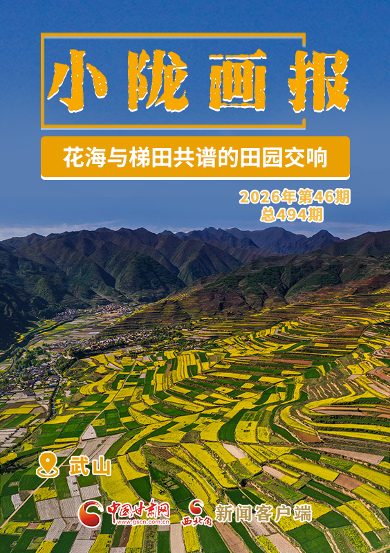 【小陇画报·494期】武山：花海与梯田共谱的田园交响