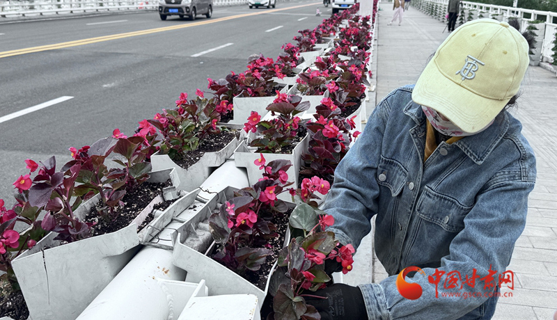 扮靓金城迎兰马 兰州市城关区多举措提升城市环境品质