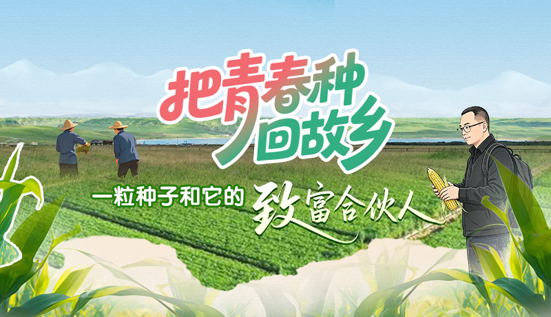 【甘快看】青春华章 丝路逐光·长图|把青春种回故乡：一粒种子和它的“致富合伙人”