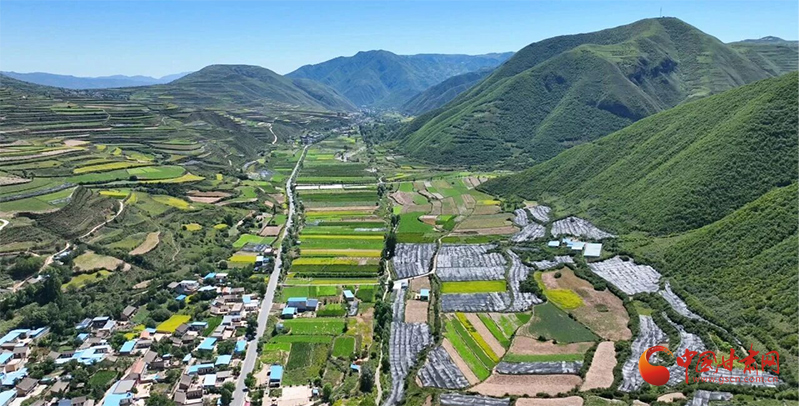 漳县：特色产业激活乡村振兴新动能