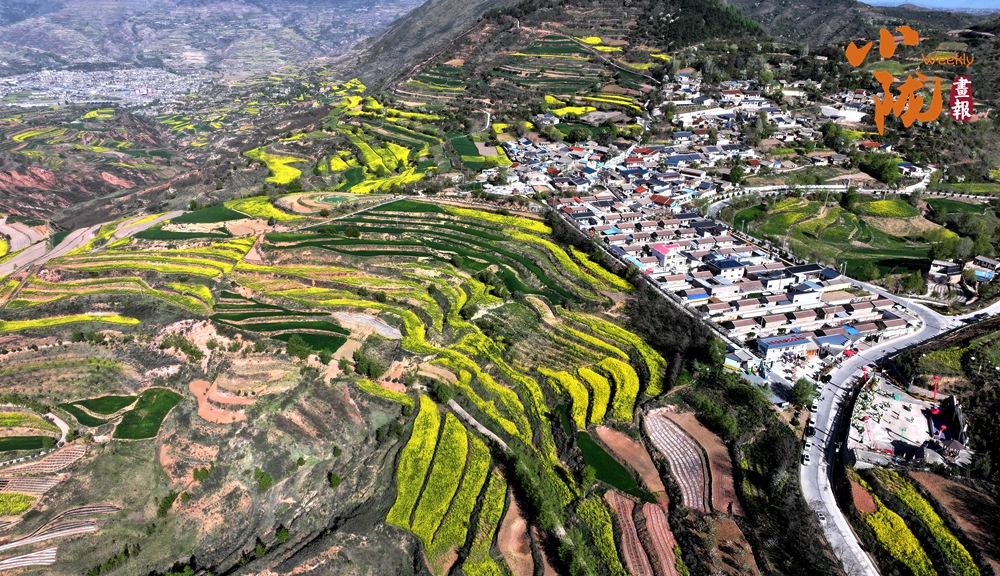 武山：花漫山村织成诗 五月滩歌入画来