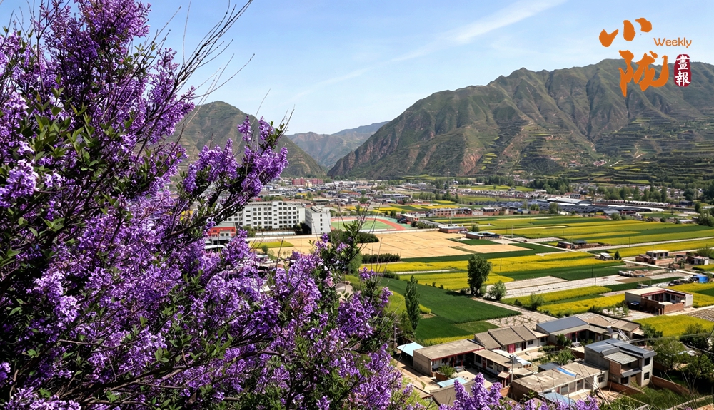 武山：花漫山村织成诗 五月滩歌入画来