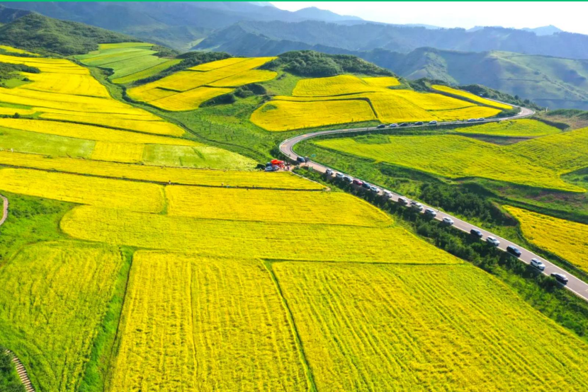 古浪：多点发力 激发文旅消费新活力