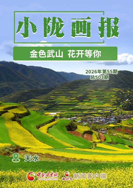 【小陇画报·503期】金色武山 花开等你