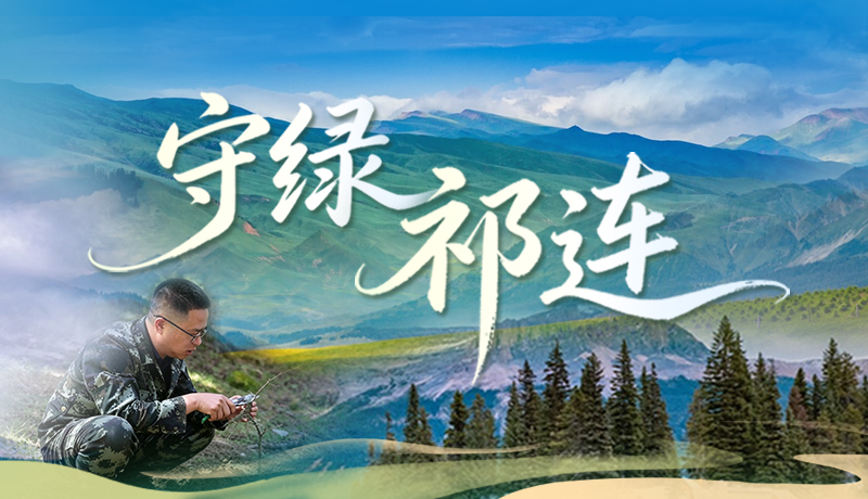 青春华章 丝路逐光｜赵祜：守绿祁连