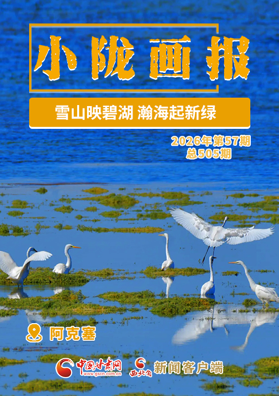 【小陇画报·505期】阿克塞：雪山映碧湖 瀚海起新绿