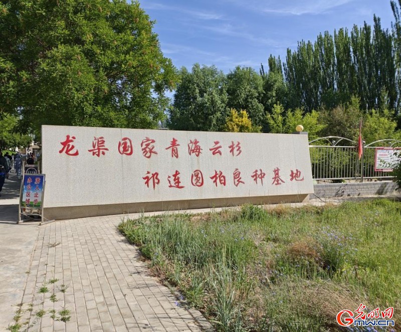 青春华章·丝路逐光｜祁连山下，一群年轻人的逐梦之路
