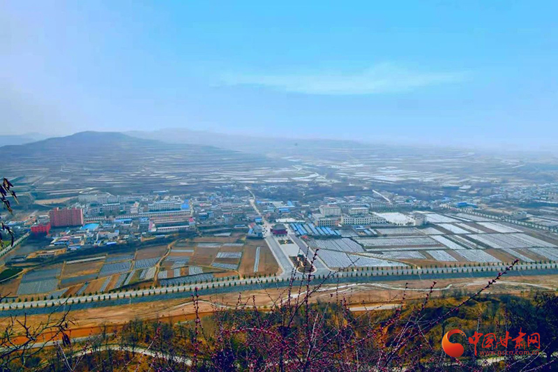静宁：学习“千万工程”经验 建设宜居宜业乡村