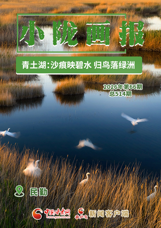 【小陇画报·514期】民勤青土湖：沙痕映碧水 归鸟落绿洲
