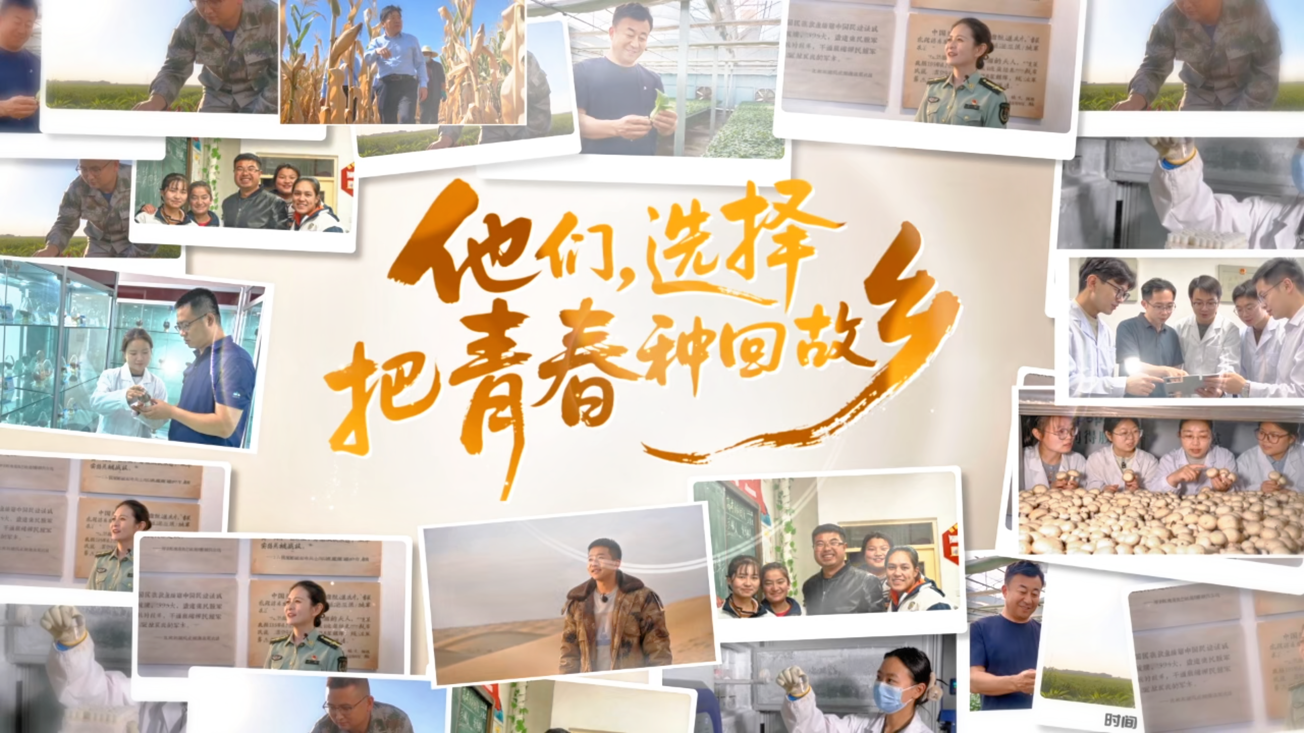 青春华章·丝路逐光|他们，选择把青春种回故乡#青春华章丝路逐光