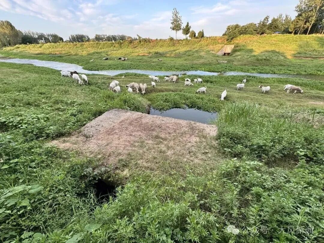 河南一地近亿元农田项目被拆成100个标的非法转包：施工队抓阄决定建设位置，有人曾花钱买标；通过验收5年后，村民称多处设施从未用过
