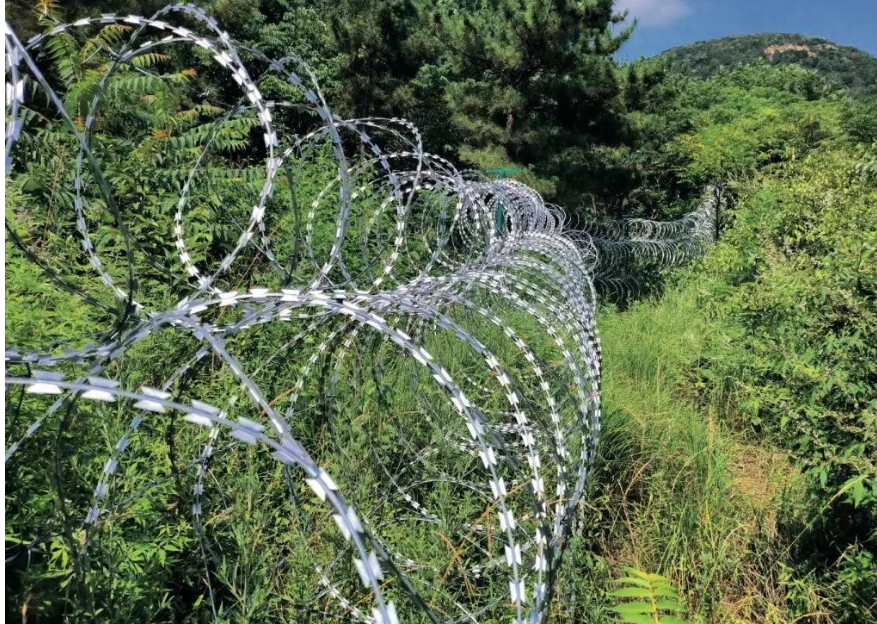 泰山“刀片网”将拆除，伤口上的“三根刺”别忘了拔出来
