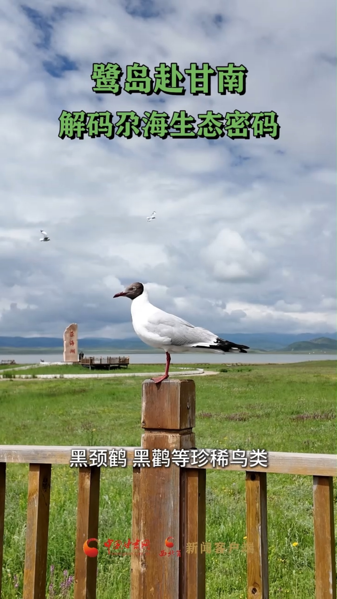 十校百名学子“重走中国西北角”|鹭岛赴甘南 解码尕海生态密码 