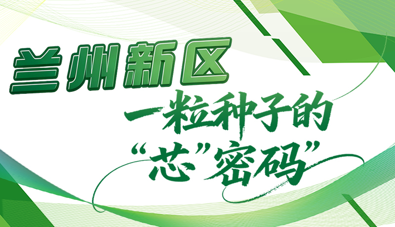 长图|兰州新区：一粒种子的“芯”密码