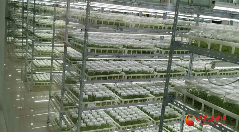 《甘肃省金融支持科技创新高质量发展的实施意见》出台 七个方面19项政策措施支持科技创新