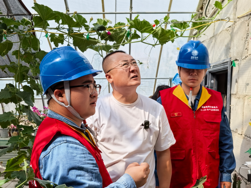 国网甘肃电力：护航暑期乡村旅游