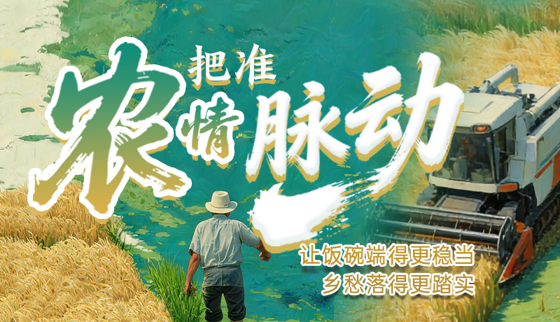 【理响中国 话陇点睛】把准农情脉动，让饭碗端得更稳当 乡愁落得更踏实