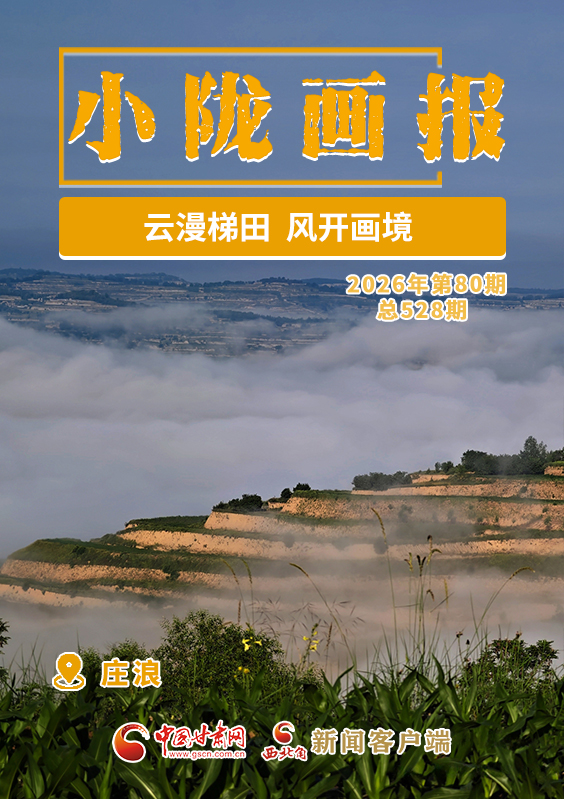 【小陇画报·528期】庄浪：云漫梯田 风开画境