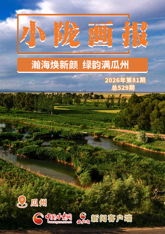 【小陇画报·529期】瀚海焕新颜 绿韵满瓜州