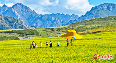 民乐：油菜花开引游客