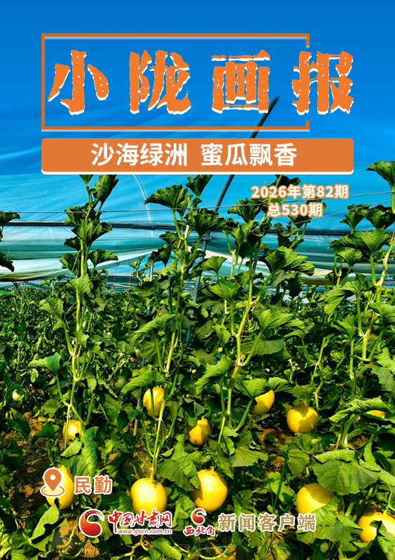 【小陇画报·530期】民勤：沙海绿洲 蜜瓜飘香