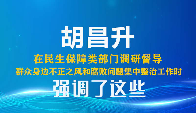 图解|胡昌升在民生保障类部门调研督导群众身边不正之风和腐败问题集中整治工作时强调了这些