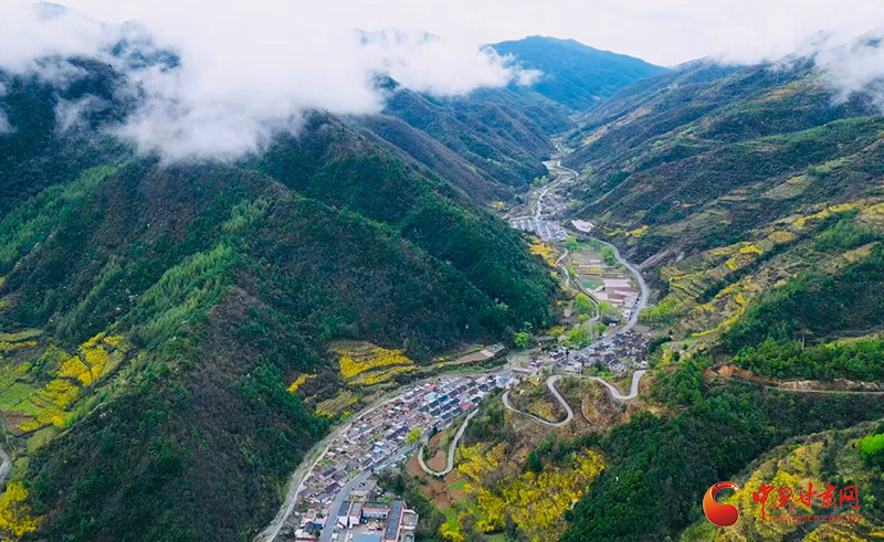 西和：产业聚活力 农旅融合促振兴