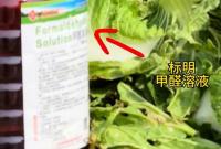 河北康保县白菜“蘸甲醛”事件：官方证实属实，问题白菜流向仍成谜！三大核心疑问待解，公众期待权威答案
