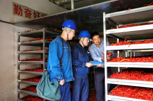 国网庆阳供电公司精准服务助力辣椒产业红红火火
