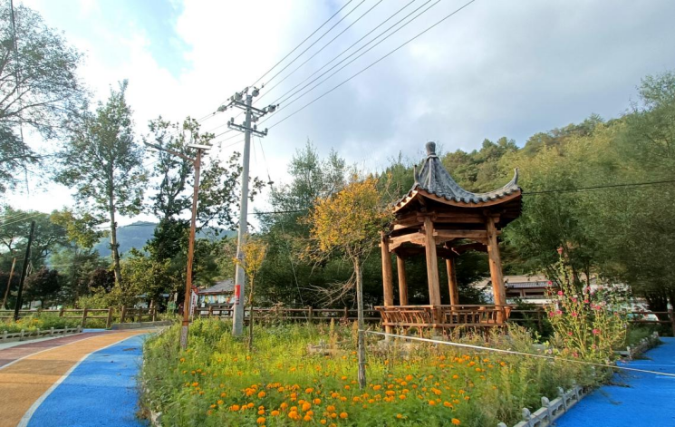 国网陇南供电公司：电网升级润山野 电赋文旅促振兴