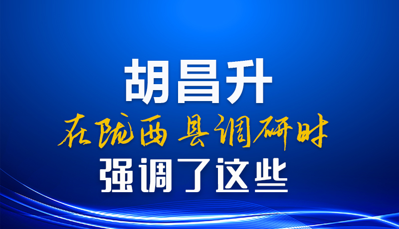 图解|胡昌升在陇西县调研时强调了这些
