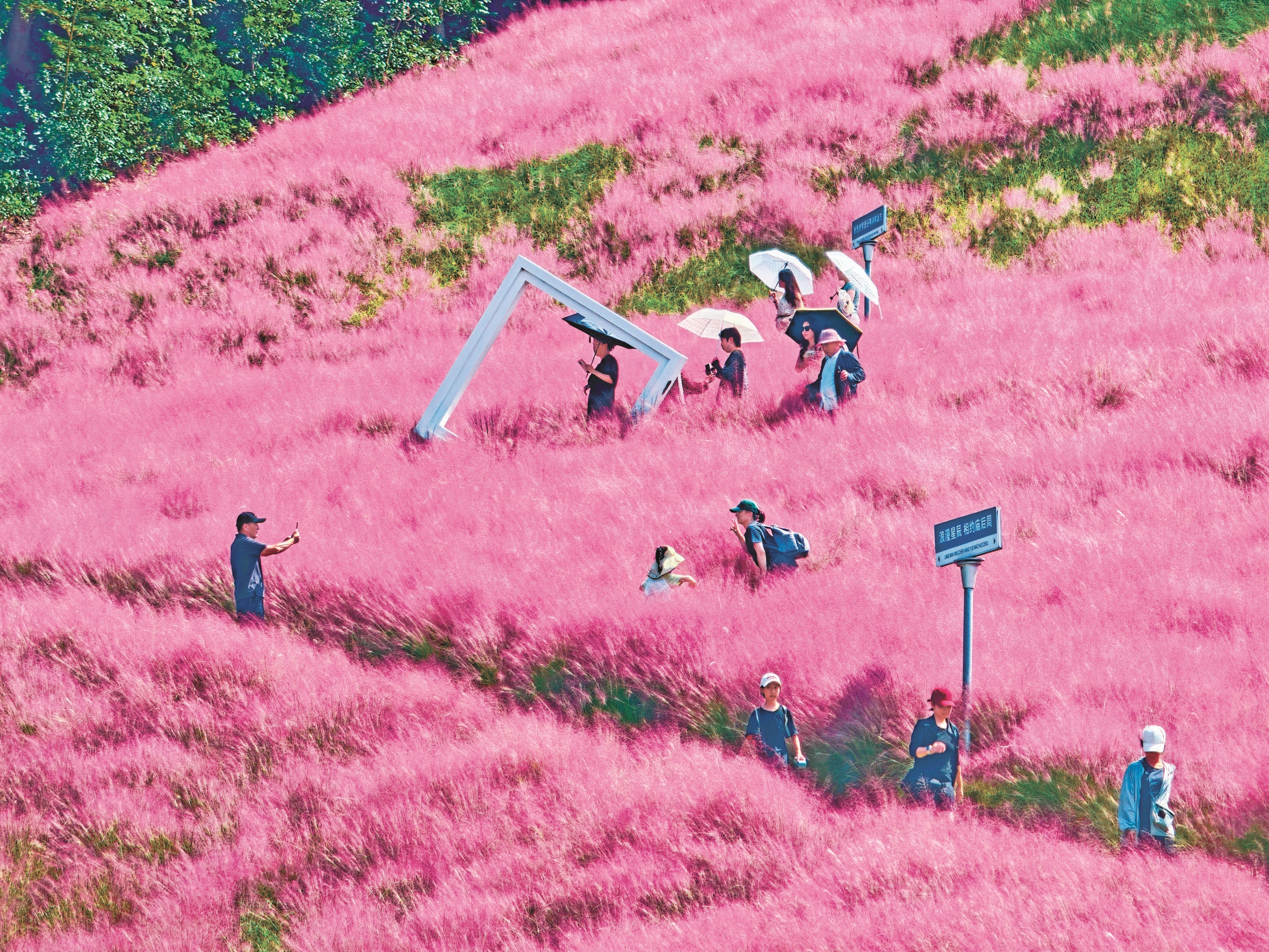 粉黛