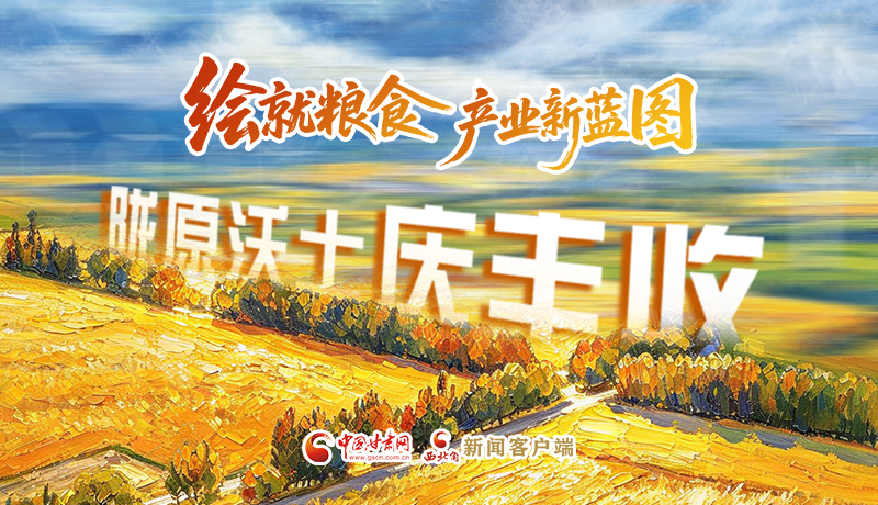 【理响中国·话陇点睛】绘就粮食产业新蓝图 陇原沃土庆丰收