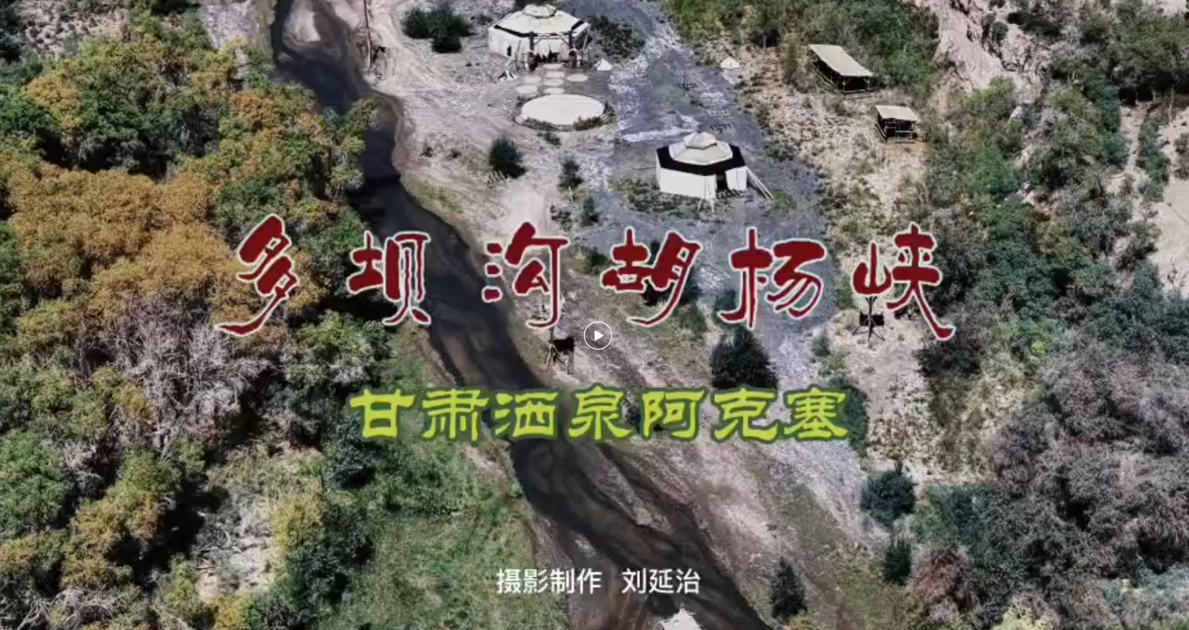 大漠深处的绿宝石：秘境阿克塞多坝沟胡杨峡
