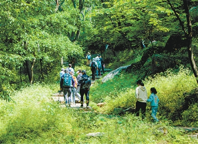 品秋味、赏秋景、享秋趣，新场景新业态竞相涌现