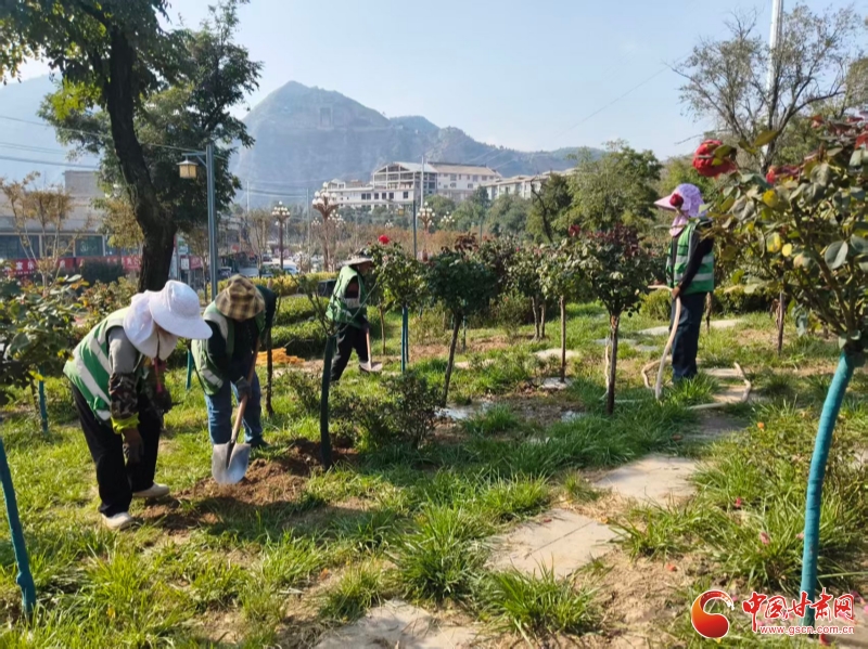 陇拍客丨金秋时节 甘谷补植增绿靓县城