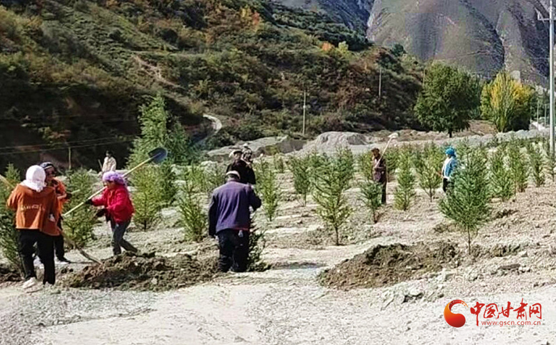 漳县：金秋植绿 绘就生态新画卷
