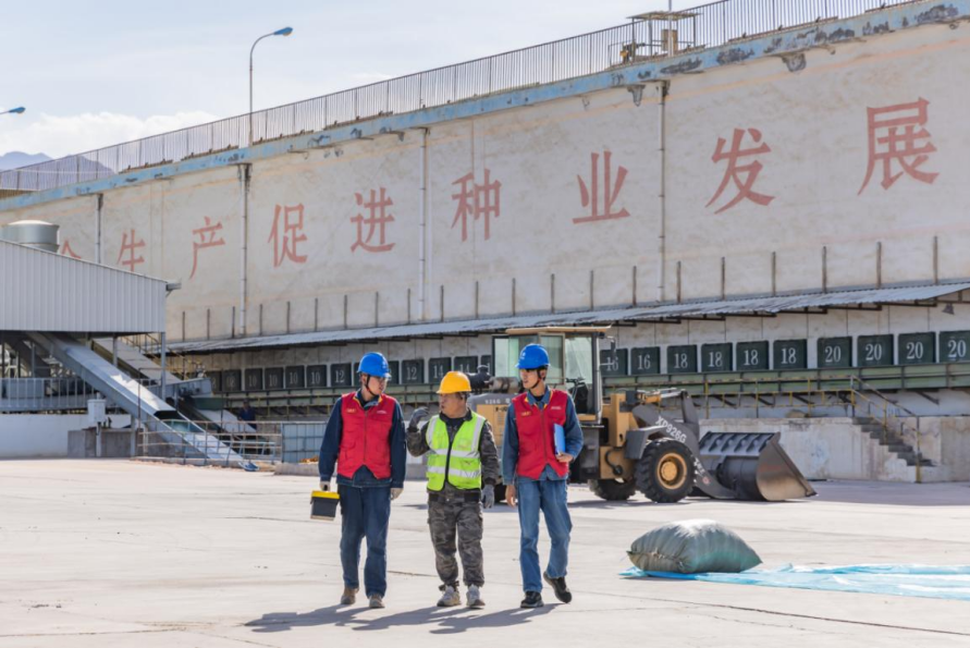 国网张掖供电公司：电力护航“金种子” 赋能种业加工提质增效
