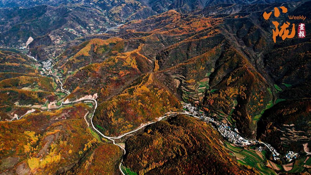 【小陇画报·559期】秋色染武山 诗意满山川