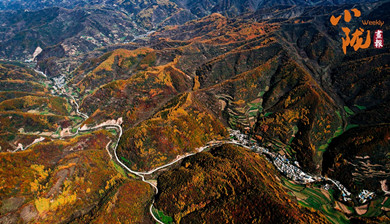 秋色染武山 诗意满山川