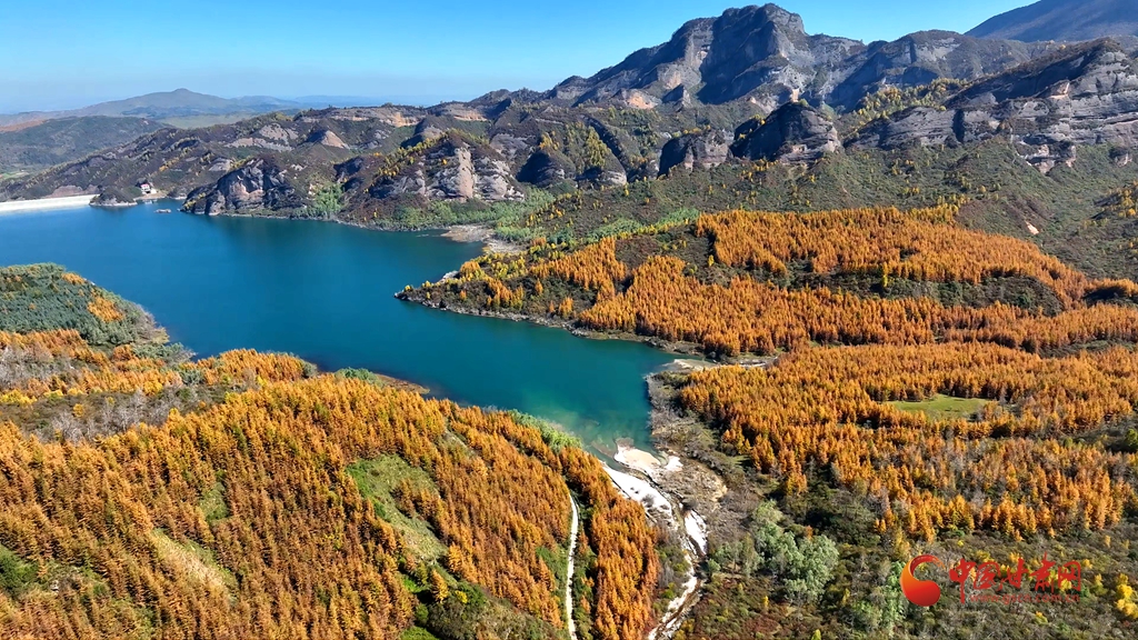 陇拍客丨秋满太子山，风过彩林开 飞潜各自在