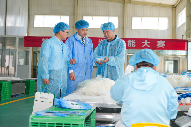 传承长征精神 践行金融使命｜邮储银行通渭县支行：使命如炬，让金色的种子在红色的土地上拔节生长