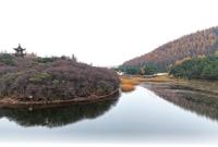 庄浪朝那湫秋日山水醉游人